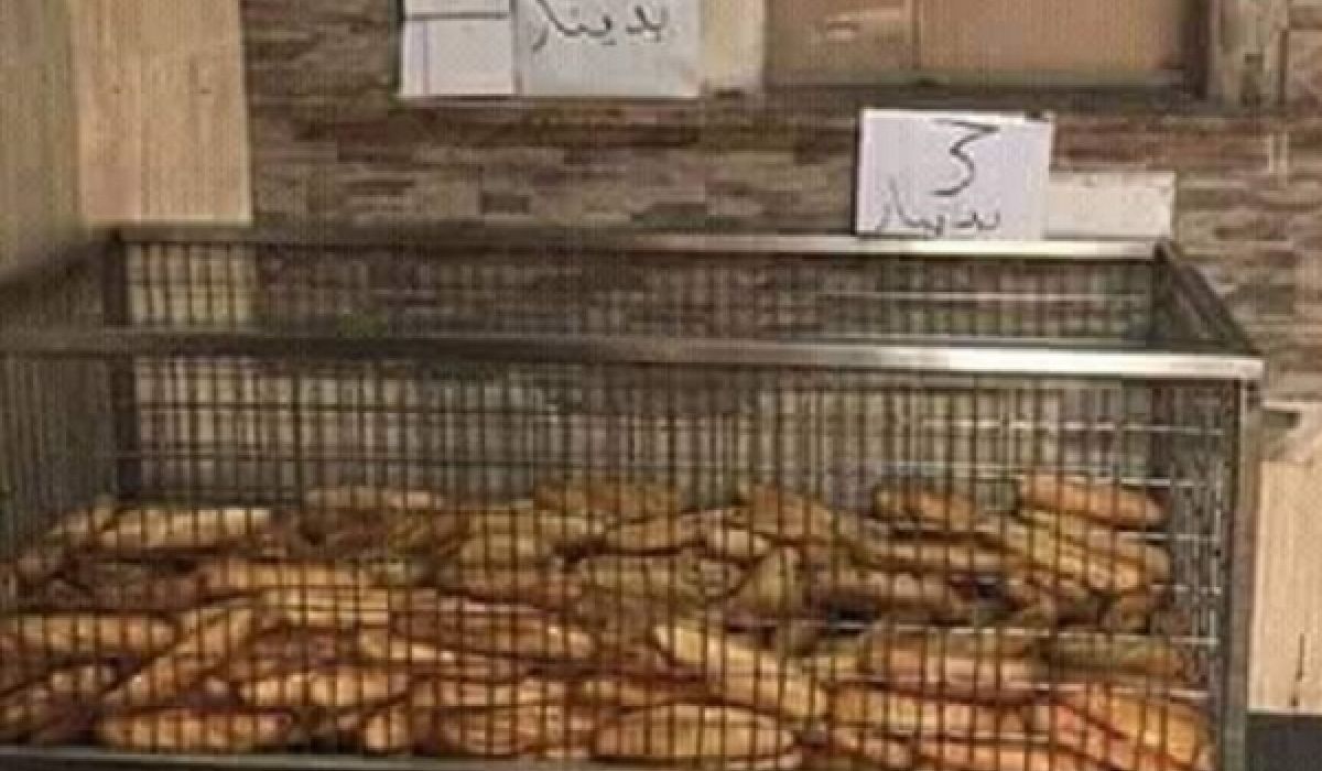 الرئاسي يخصص 30 مليون دولار لحل أزمة نقص الدقيق بالمخابز
