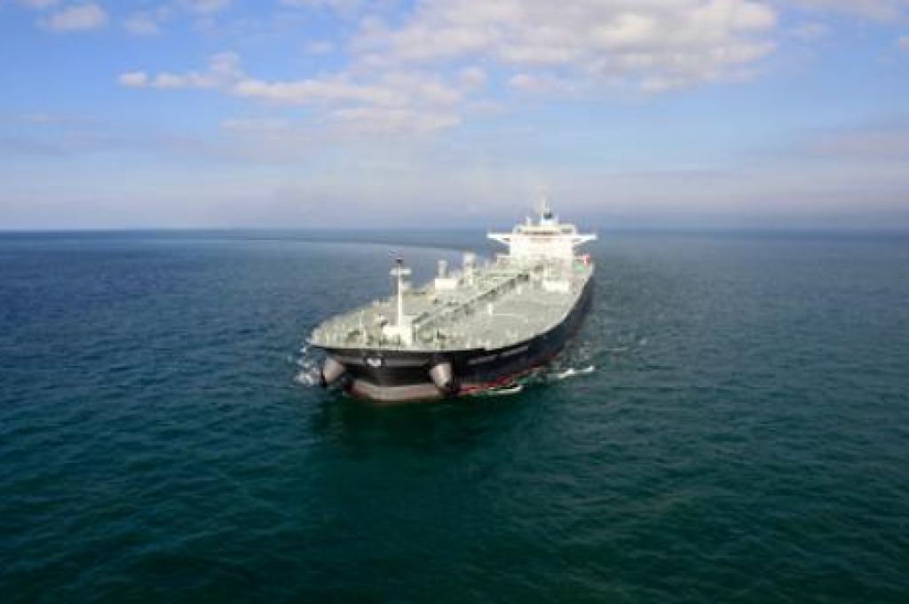 انطلاق مهرجان السلام الوطني السنوي الأول للبرتقال ببلدية العزيزية