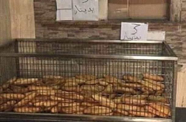 السودان تطلق حملة جديدة للسيطرة على سيارات ليبية مسروقة غير مرخصة تم تهريبها عبر الحدود