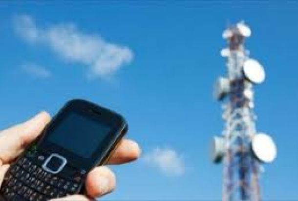 مزاعم تلوث "الدلاع" وتأثيراتها الاقتصادية