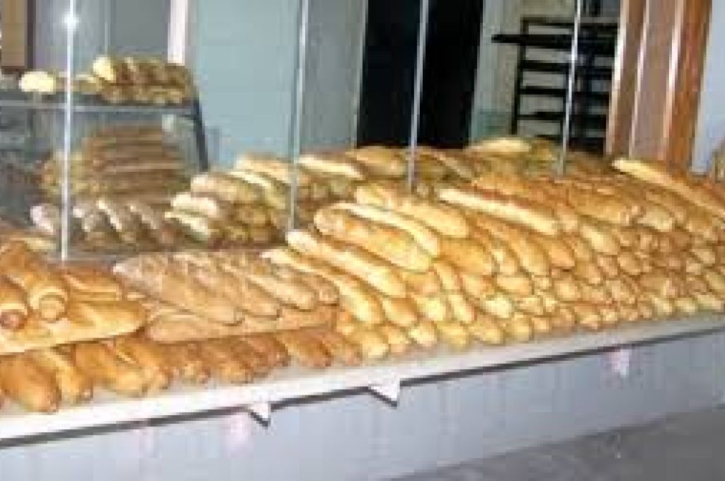 مستخدمو مجمع مليته الصناعي يطالبون بحقوقهم