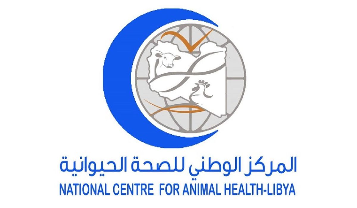 المركز الوطني للصحة الحيوانية يوضح حقيقة شحنات العجول الواصلة لميناء طرابلس