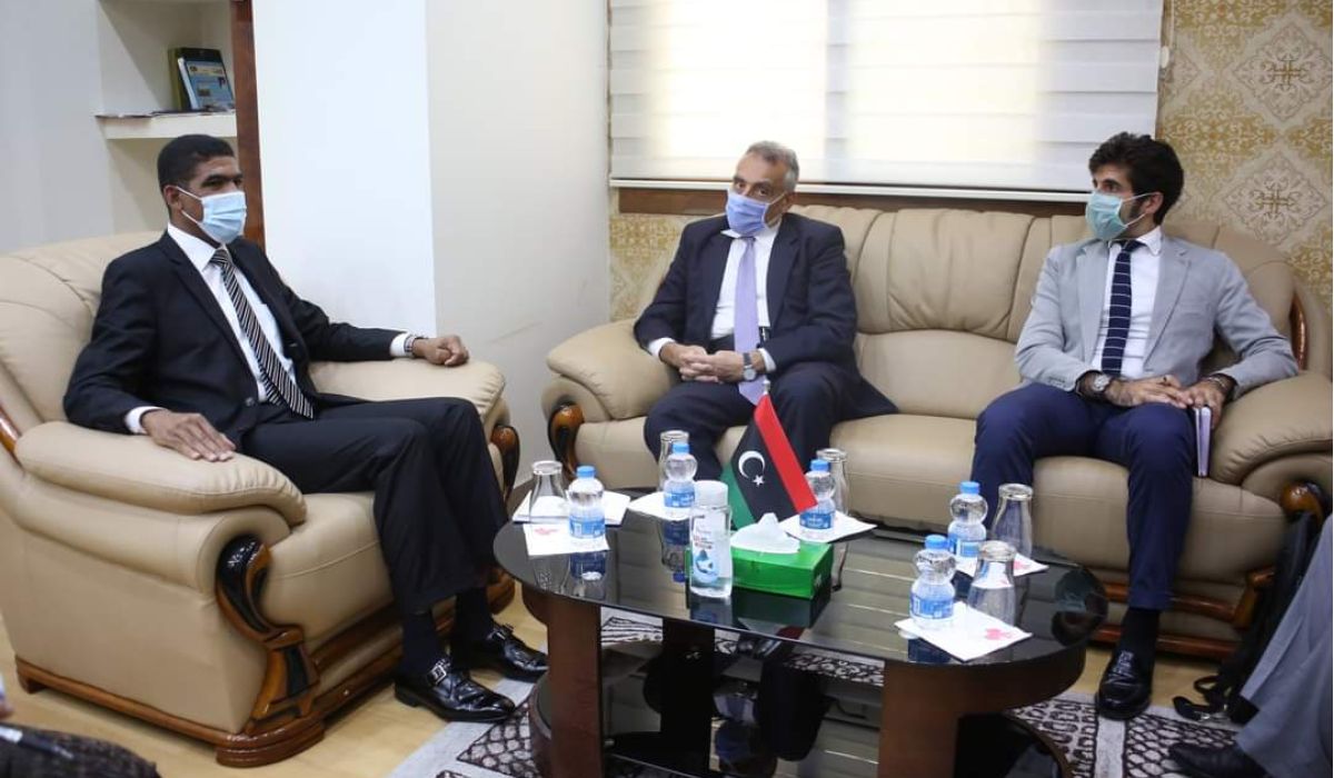 أحمد حمزة يبحث مع السفير الإيطالي ملف التنمية الزراعية بالجنوب وكورونا