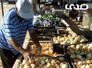 جولة صدي في سوق الخضار الشعبي بتاجوراء