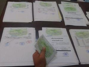 صندوق الضمان الاجتماعي فرع الواحات يحيل معاشات المتقاعدين الي المصارف التجارية