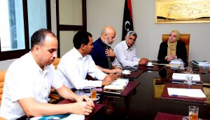 وزير الدولة لشؤون هيكلة المؤسسات تلتقي رئيس مجلس الإدارة والمدير التنفيذي لمصلحة الإحصاء والتعداد