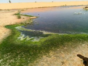 زيارة مهندسين بقطاع الإسكان لمكب الصرف الصحي بالكفره