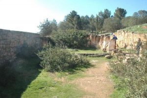 اليونسكو ترمم أثار قصر ليبيا