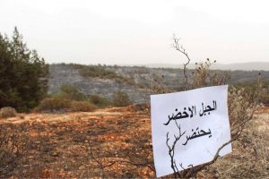 زراعة المؤقتة تخاطب الفاو بشأن العرعر