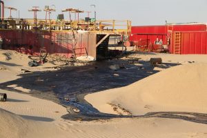 التلوث النفطي يفتك بالثروة الحيوانية والنباتية باجخرة