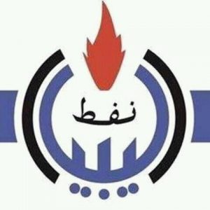 إقالة ميلاد الهجرسي وإلغاء مكتب متابعة توزيع الوقود والغاز