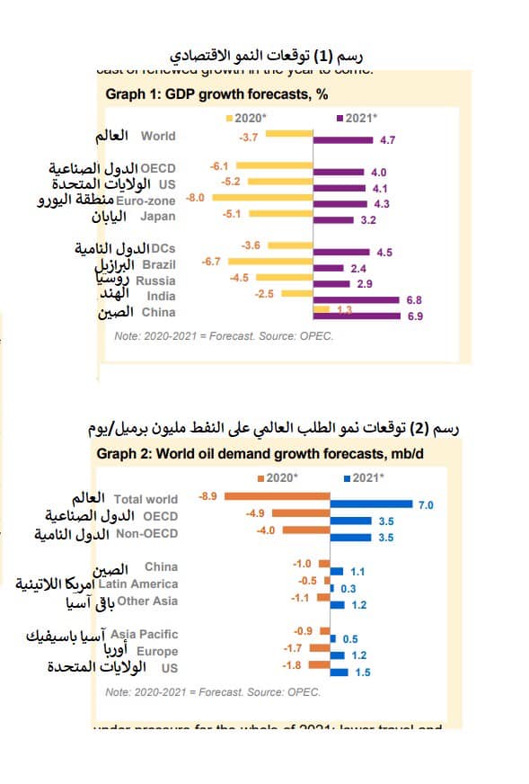 خبير نفطي يكتب : التوقعات لسوق النفط عام 2021