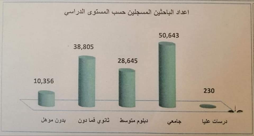 العمل والتأهيل: بلغ عدد الباحثين عن عمل أكثر من 128 ألفًا حتى يونيو الماضي