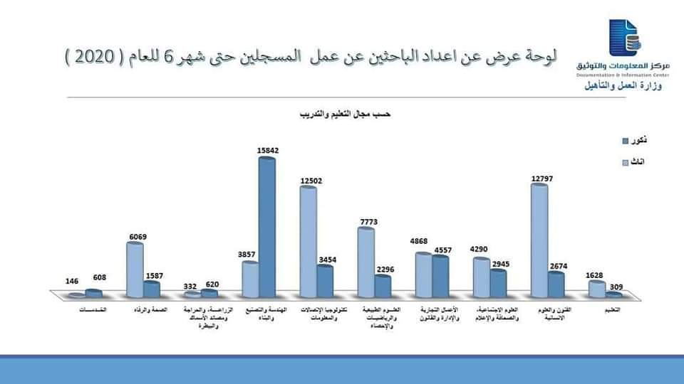 العمل والتأهيل: بلغ عدد الباحثين عن عمل أكثر من 128 ألفًا حتى يونيو الماضي