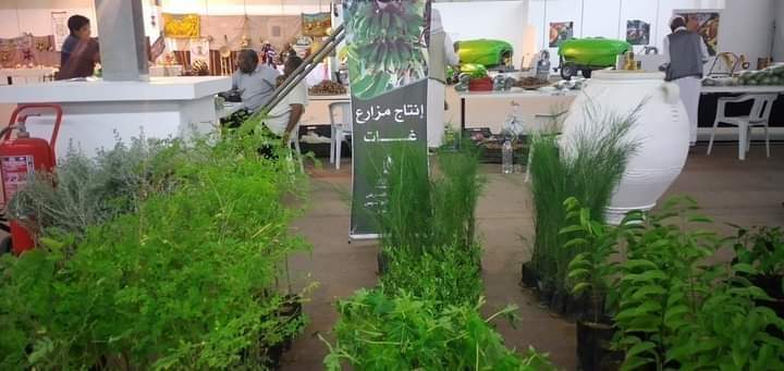 تنظيم معرض ليبيا الزراعي بمنطقة تمنهنت وسط إجراءات احترازية بسبب كورونا