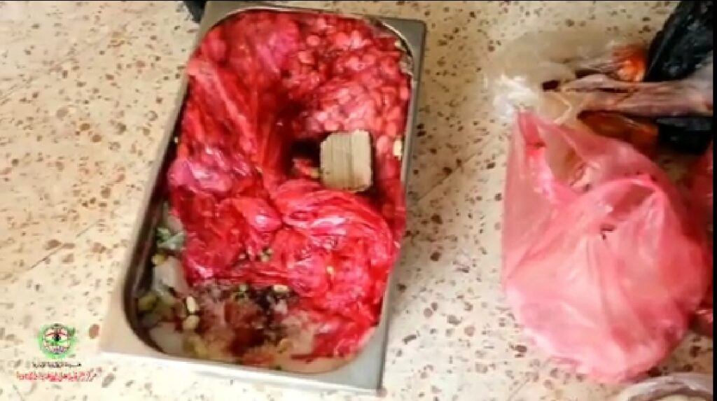 الرقابة على الاغذية والأدوية يكشف مشاهد صادمة بدار البنات للاحتياجات الخاصة