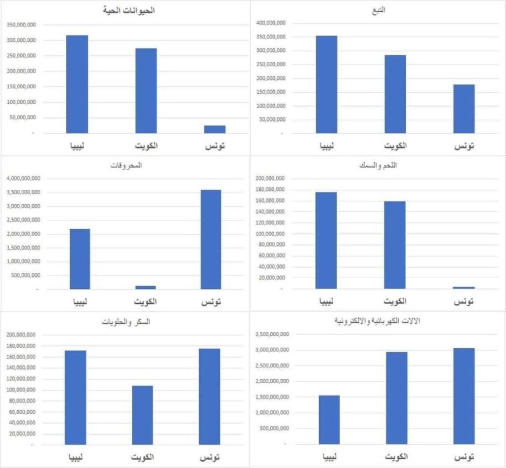 الشحاتي يكتب: إصلاح التمويل الاستثماري العام والخاص