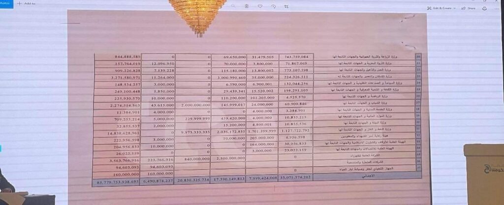 المالية تستعرض مصروفات وزارات الحكومة والجهات والهيئات التابعة لها خلال العام 2021