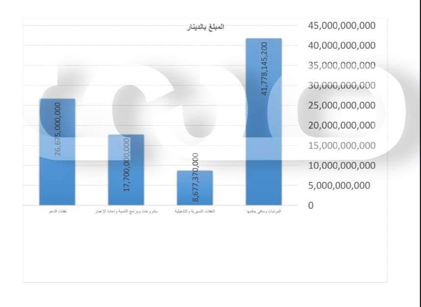 خاص.. صدى الاقتصادية تتحصل على الميزانية المحالة من باشاغا إلى المجلس الأعلى للدولة.. التفاصيل