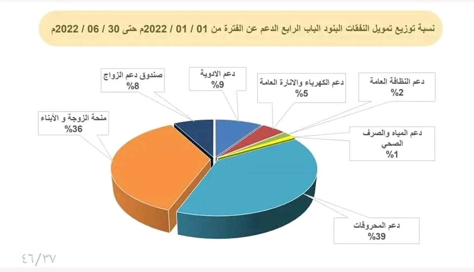 النفقات على الدعم أكثر من 12 مليار.. تقرير المالية بحكومة الوحدة الوطنية يوضح التفاصيل