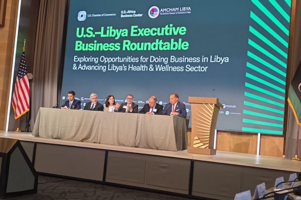 "الشائبي": المصرف المركزي لا يستطيع وحده مواجهة التحديات القريبة.. وهذه الحلول بعد تعديل سعر الصرف