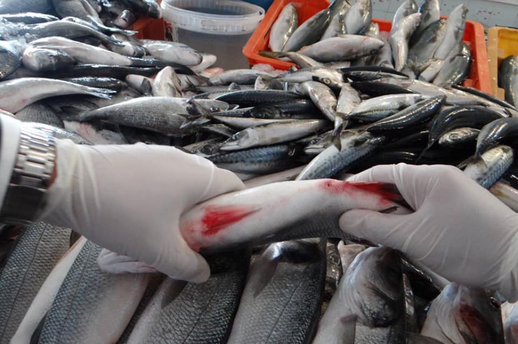 شركة المدار تكسب قضية مشروع المكالمة الدولية عبر الإنترنت