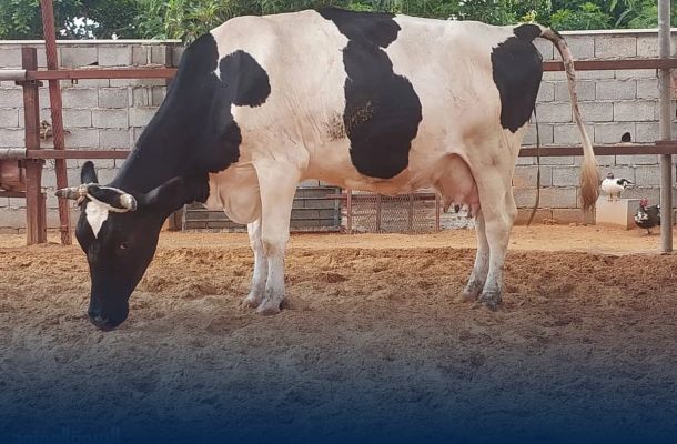 خاص.. رئيس وحدة المبيعات بشركة ليبيانا يُفصح عن الخدمات الجديدة وما تستهدفه الشركة خلال 2024م
