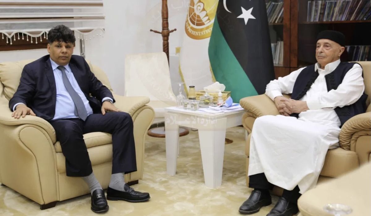 الصور يناقش مع عقيلة صالح المشاكل التي تعترض عمل القضاء والنيابات