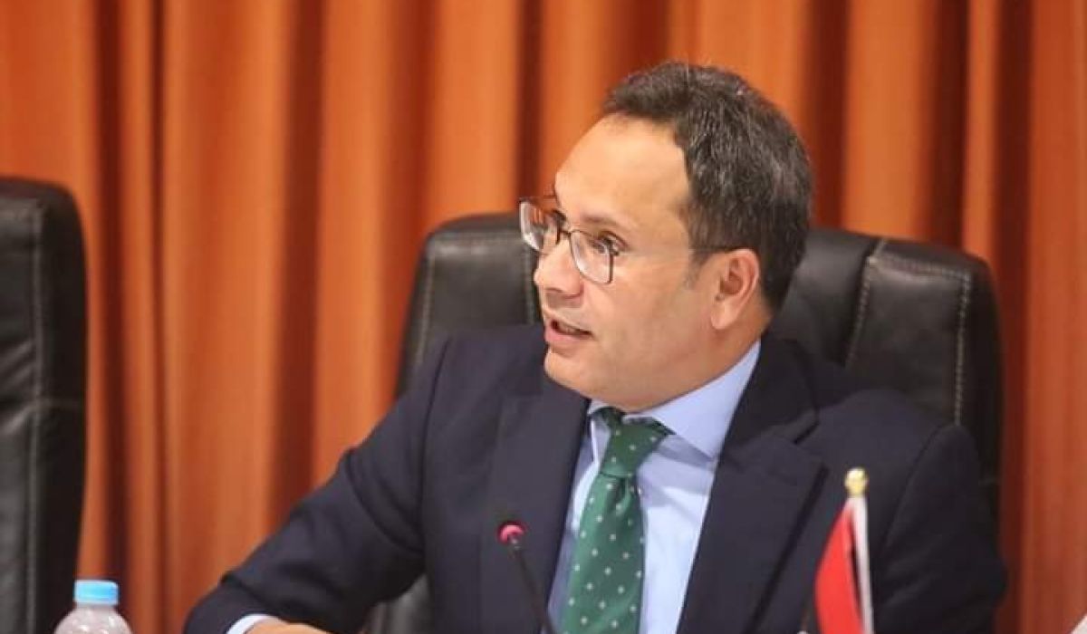 "عادل جمعة" يوضح حيال قرار الحكومة بشأن تخصيص قطع أرض لبعض السفارات وآخر مستجدات ملف العلاج بالخارج