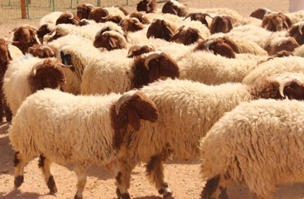 القوة المشتركة التابعة لـ"الرئاسي" تباشر بتأمين محطات الكهرباء بالمنطقة الغربية