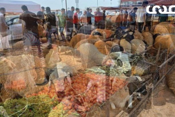 الدعم بين الرفع والإبقاء .. خطوة للأمام؟ أم خطوتين للخلف؟