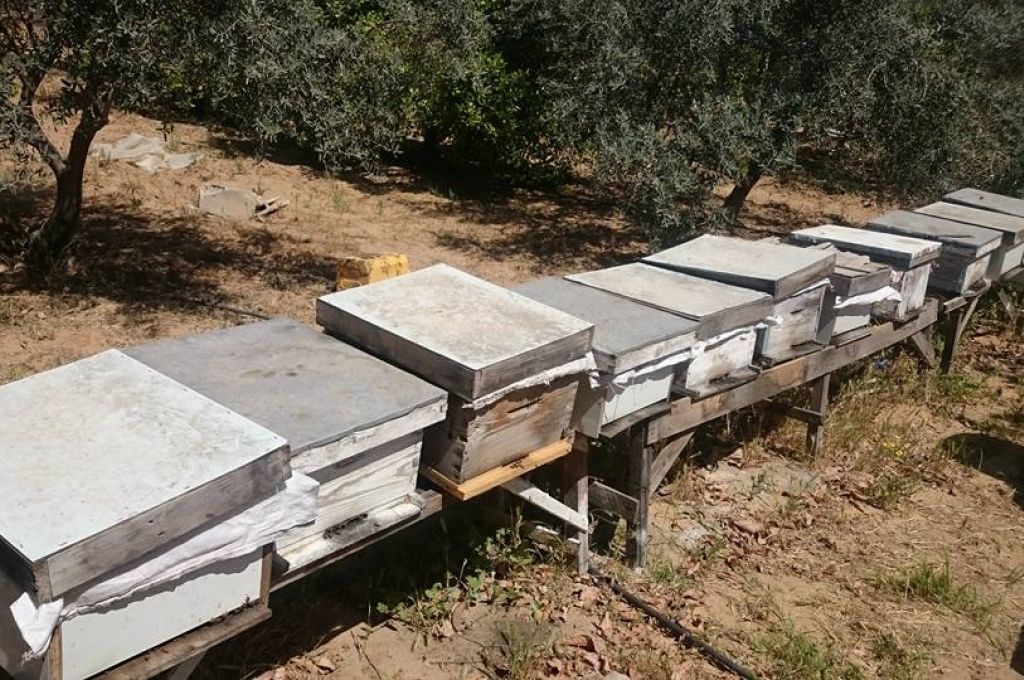 إيقاف إجراءات نقل مصرف الوحدة الهيرة إلى غريان