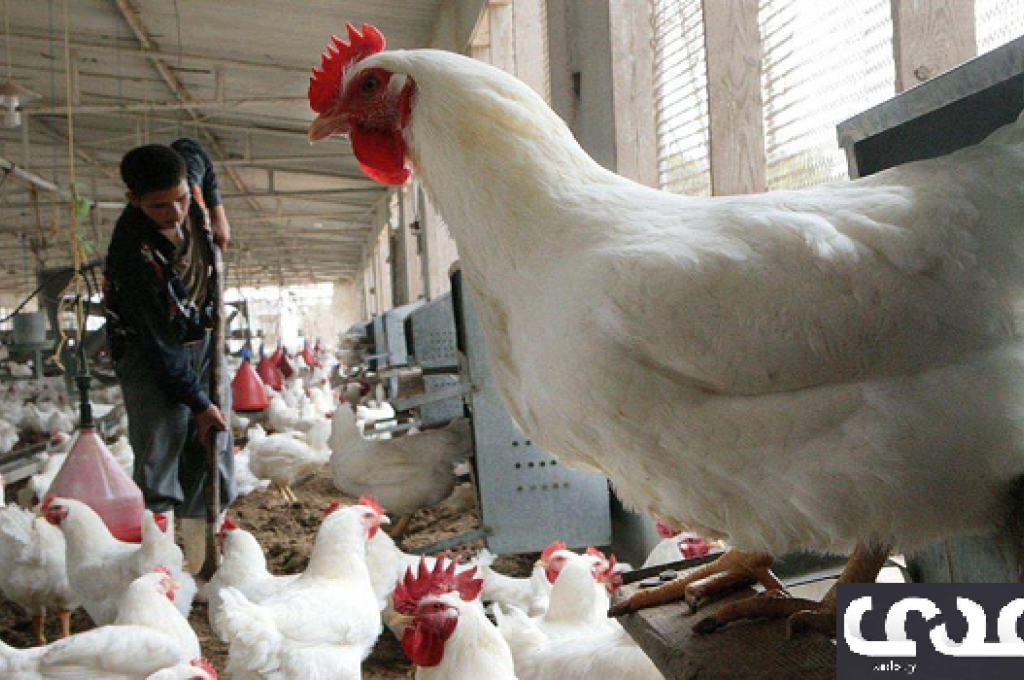 الأمين العام للأمم المتحدة: الدين العام في ليبيا وصل قرابة ال100 مليار دينار