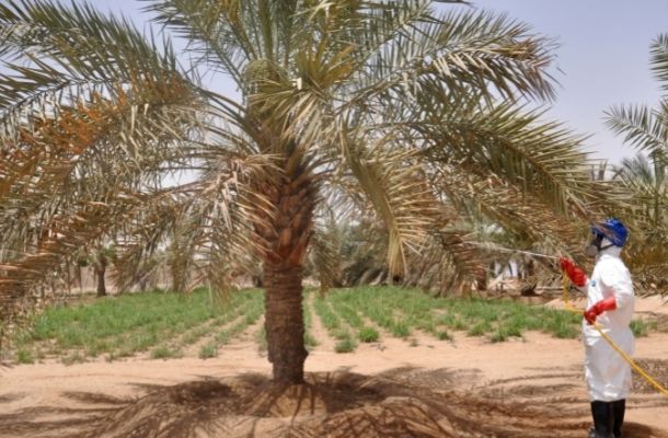 مسؤول سابق بالمصرف الليبي الخارجي يُحذر من وضع ودائع مالية للدولة في لبنان وتركيا