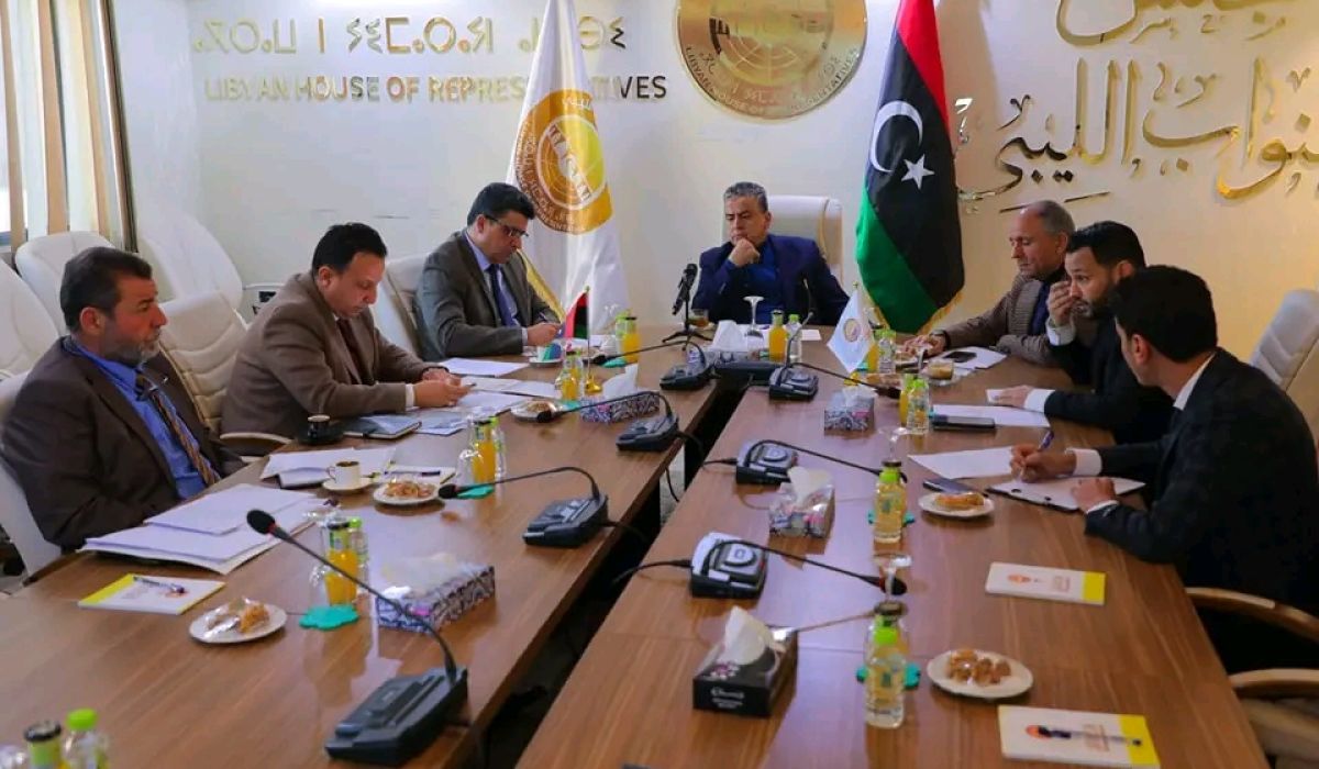 "شكشك" يبحث مع اللجنة المالية بمجلس النواب إجراءات الديوان في متابعة مخصصات التنمية