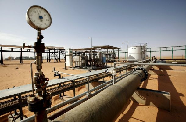 الحكومة المؤقتة تبحث آليات الاستفادة من الأراضي الزراعية والمستصلحة