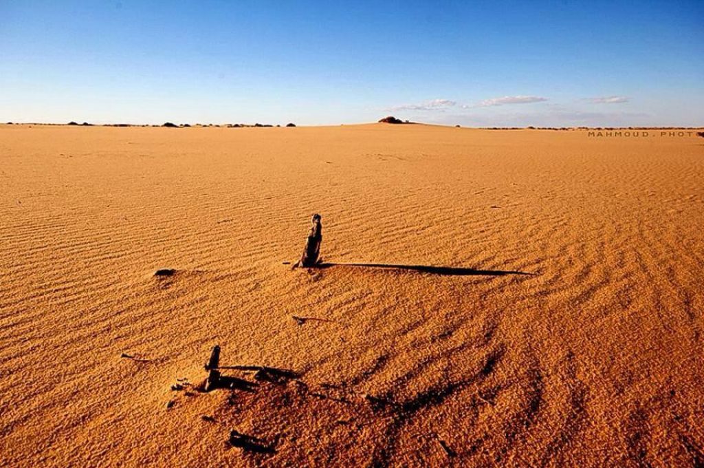 عودة 149 نيجيرياً طواعية إلى بلادهم