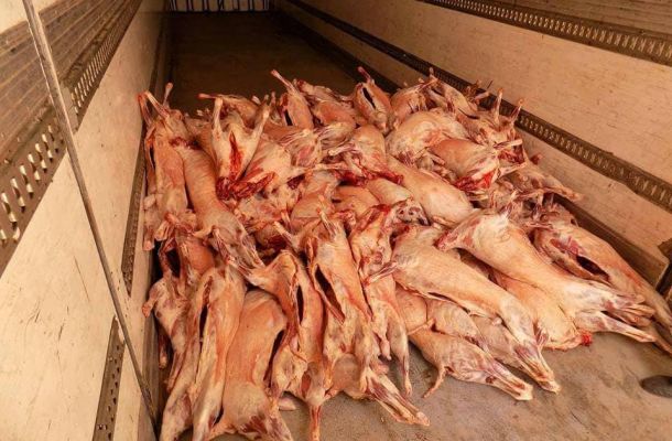 مؤتمر علمي للنهوض بالخدمات في بلدية الزنتان