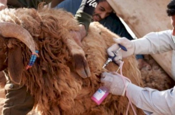 خاص.. خبير بقطاع النفط يعلق لصدى حصرياً عن شرعية إيقاف وزير النفط