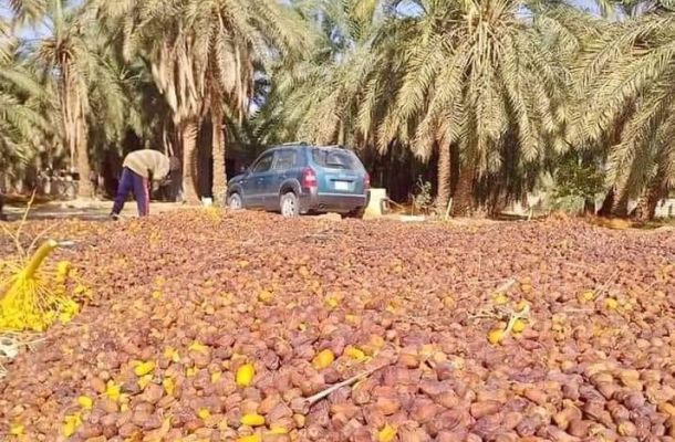 الخطوط الليبية توضح لصدى مدى قدرتها على تسيير رحلات إلى المنطقة الشرقية