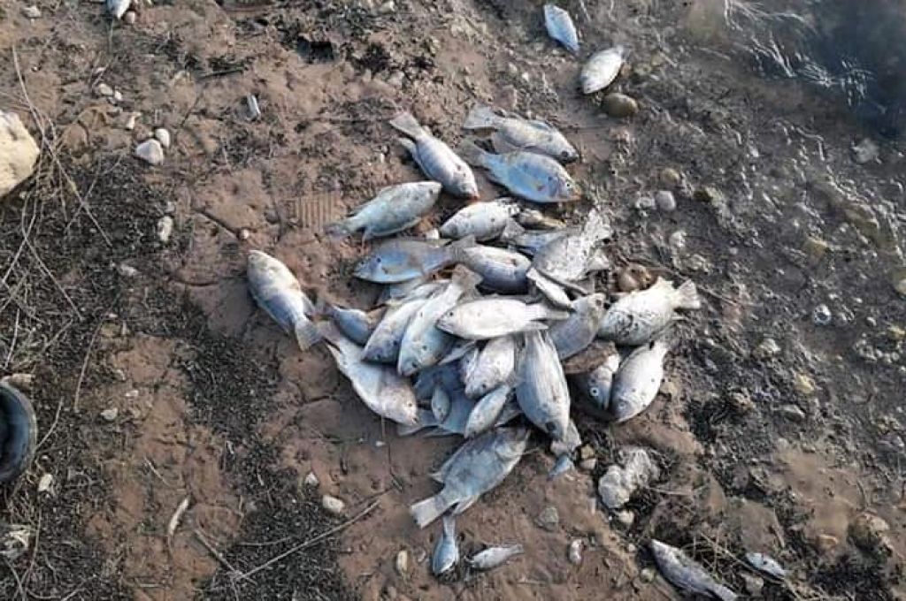 تقارير تؤكد تورط "مجموعة فاغنر" الروسية في الحرب بالجنوب الليبي