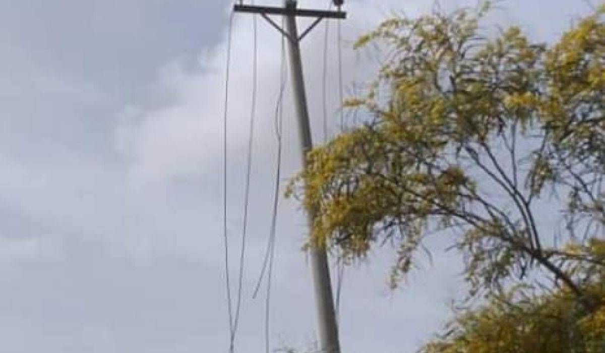 الكهرباء تعلن عن سرقة 1650 مترًا من الأسلاك بدائرة توزيع الحي الصناعي تاجوراء