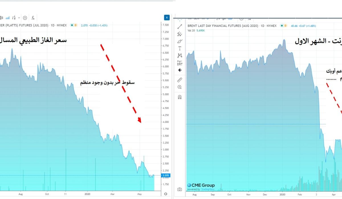 خبير اقتصادي يكتب: "المسارات المتضاربة لأسعار النفط وأسعار الغاز الطبيعي ودور المنظم الموازن في السوق (أوبك)"