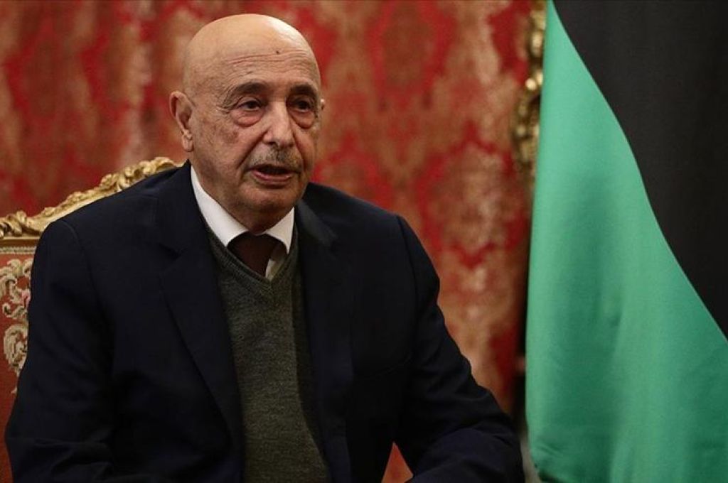 خاص.. مشيراً إلى التهديد بإقفال النفط.. "روفينيتي" لصدى: علاقة إيطاليا مهمة مع القبائل الليبية والعمل على استعادة الحياة في مليتة