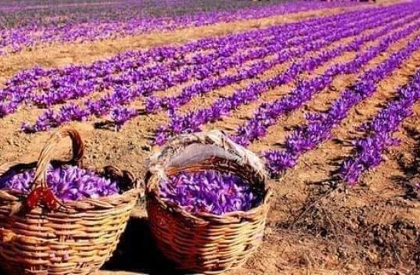 معيتيق وبومطاري يبحثان الخطوات المتخذة بشأن ميزانية الدولة لسنة 2021