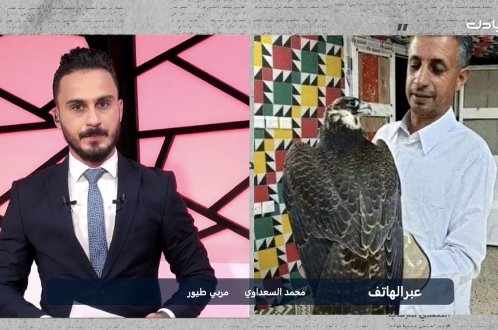 أبوبكر سعيد يتساءل: صادرات النفط وصلت نصف مليون برميل .. فلماذا يماطل "الكبير" في اتخاذ قرارات لرفع المعاناة عن المواطن