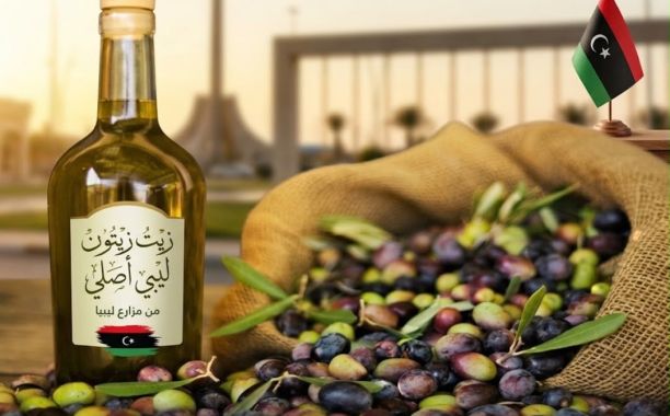 إستقالة اربعة اعضاء من المجلس البلدي لسبها بسبب التجاوزات