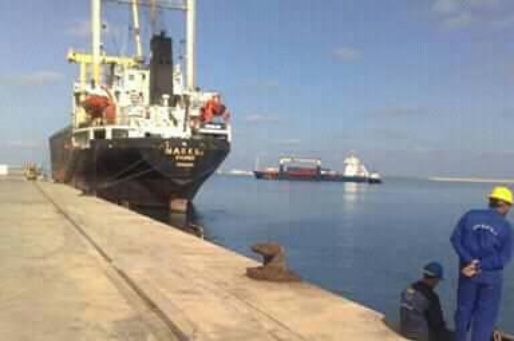 جهاز الحرس البلدي يكشف أن جبنة "المتميز" غير صالحة للاستهلاك البشري