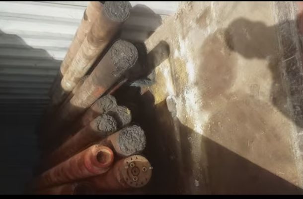 الرقابة على الأغذية والأدوية ترفض شحنة أرز لاحتوائها على حشرات
