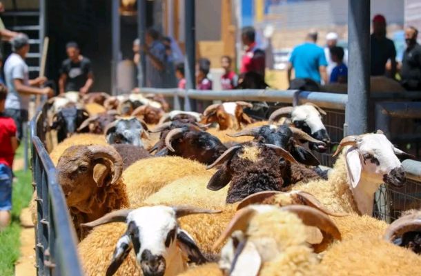 خاص.. "عون" لصدى: بهذه الآلية والأسباب لن يصل إنتاجنا للنفط إلى 1.5 مليون برميل يومياً